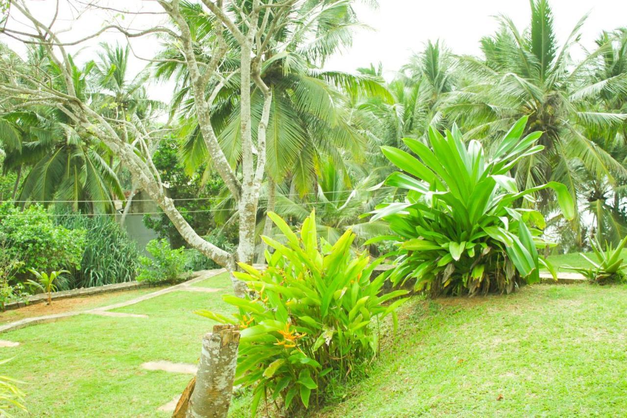 Emma'S Sea View Apartment ดิคเวลลา ภายนอก รูปภาพ